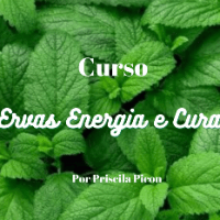 Ervas Energia e Cura